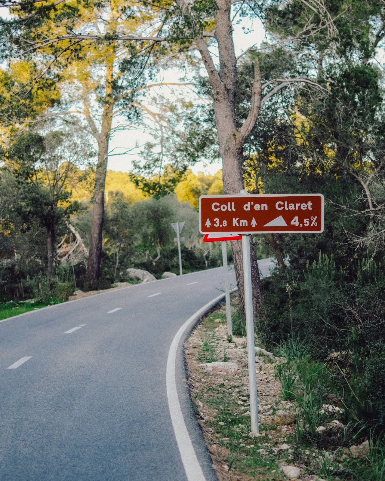 The Tramuntana Loop - Mallorca
